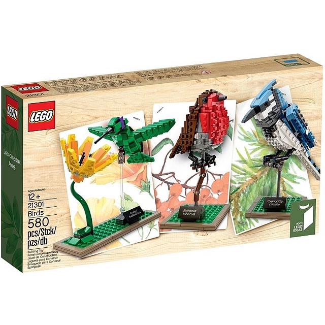 【GC】 LEGO 21301 IDEAS Birds 鳥