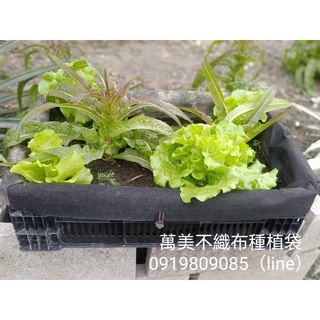 萬美工廠直營園藝資材-不織布籃耕種菜黑色內袋(規格:60公分*40公分*18公分,不含塑膠籃)