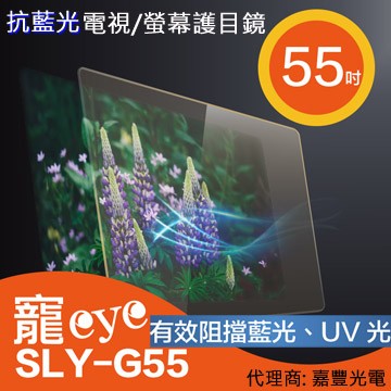 (免運費) 【寵eye】55吋 抗藍光液晶電視/螢幕護目鏡 (SLY-G55)