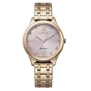 【CITIZEN 星辰】Eco-Drive 動能不鏽鋼腕錶(EM0503-75X)