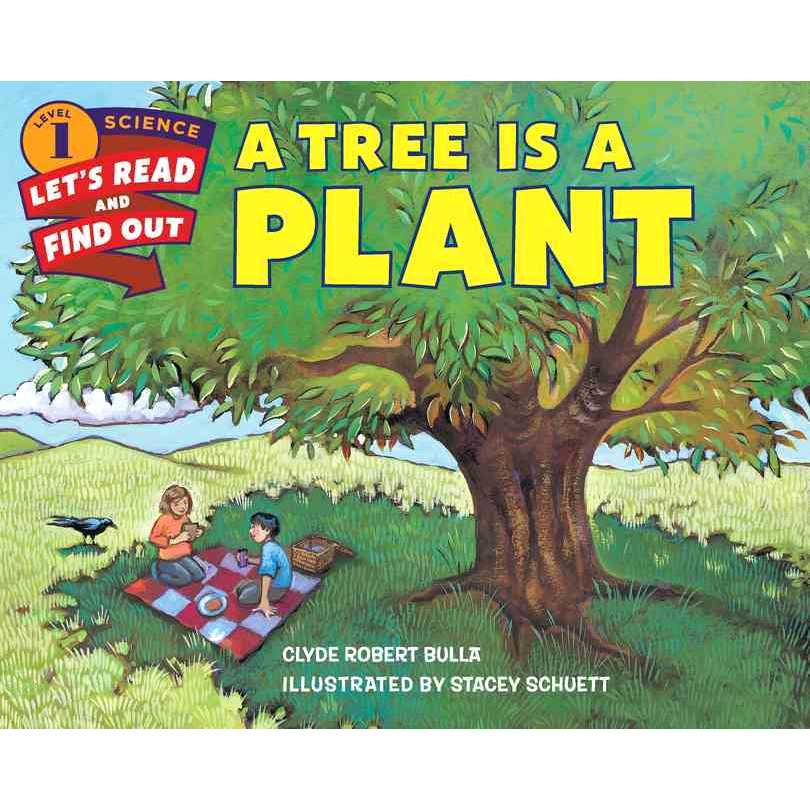 A Tree Is a Plant