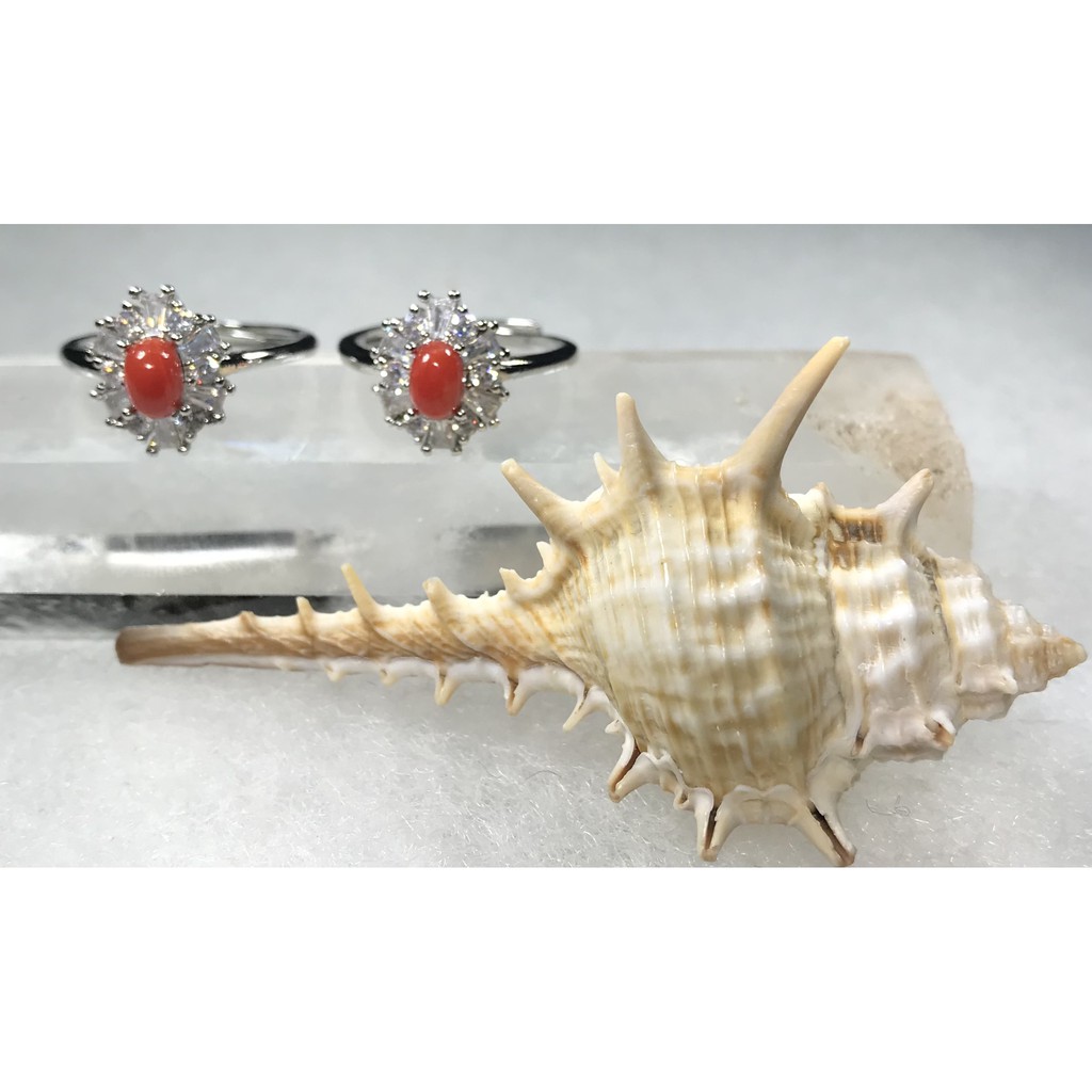 3月誕生石 海底有機寶石 天然ak紅珊瑚滿鑽戒指活圍戒托 原枝 隨機出貨 蝦皮購物