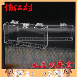 路亞飛蠅釣野采亞克力魚盒透明水晶觀察盒帶刻度尺便攜式觀魚盒3803 蝦皮購物