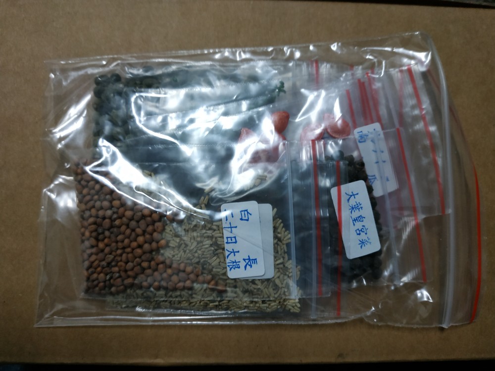 蔬菜種子s321 白長二十日大根 速成的可愛小蘿蔔品種 特別推薦 蝦皮購物
