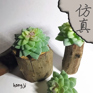 多肉 模擬多肉 微景觀 P36 假多肉植物 辦公室小物 生日禮物拍照道具居家裝飾咖啡屋商店擺飾迷你木頭底座盆栽
