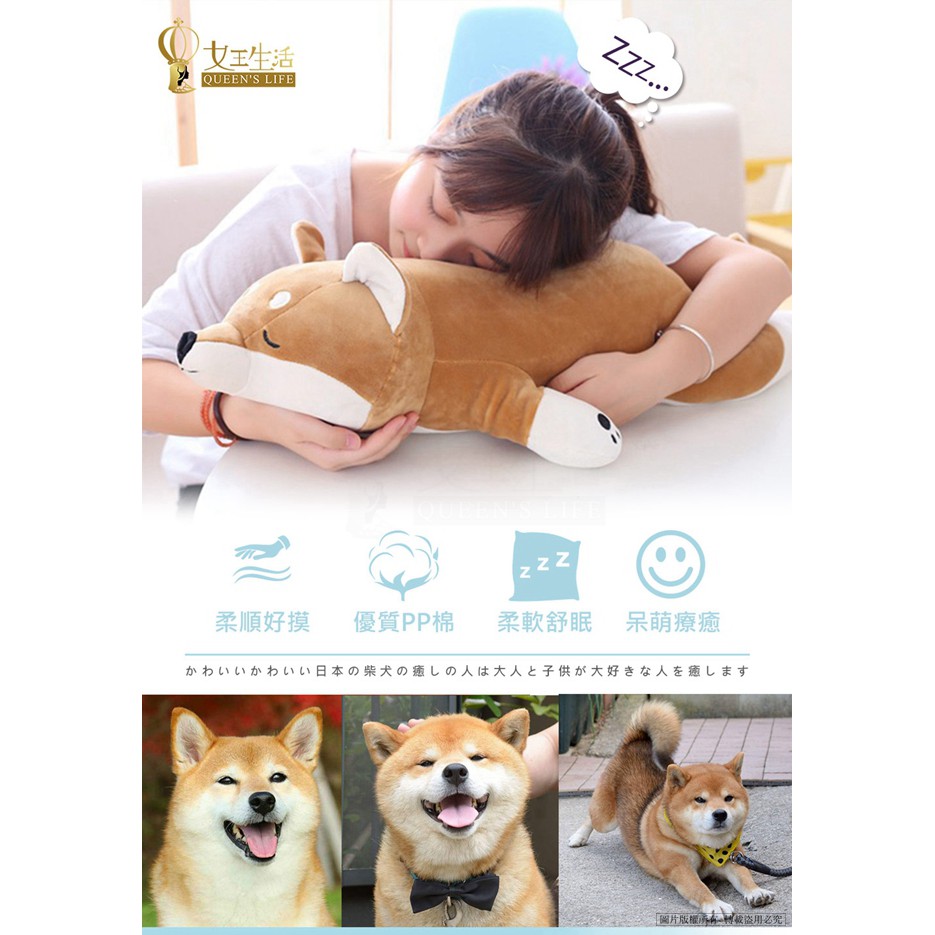 限時免運搶購 女王生活 55cm萌系柴犬抱枕玩偶午睡枕靠腰枕超柔抱枕送禮自用兩相宜 Queen S Life 蝦皮購物