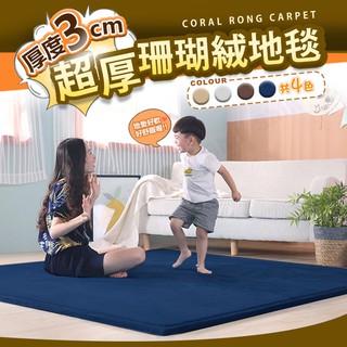 臺灣現貨 3CM加厚 日式 珊瑚絨地毯 珊瑚絨地墊 塌塌米墊 吸水地墊 瑜珈墊 爬行墊 長毛地毯 加厚防滑毛地毯