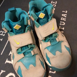 nike dt 96