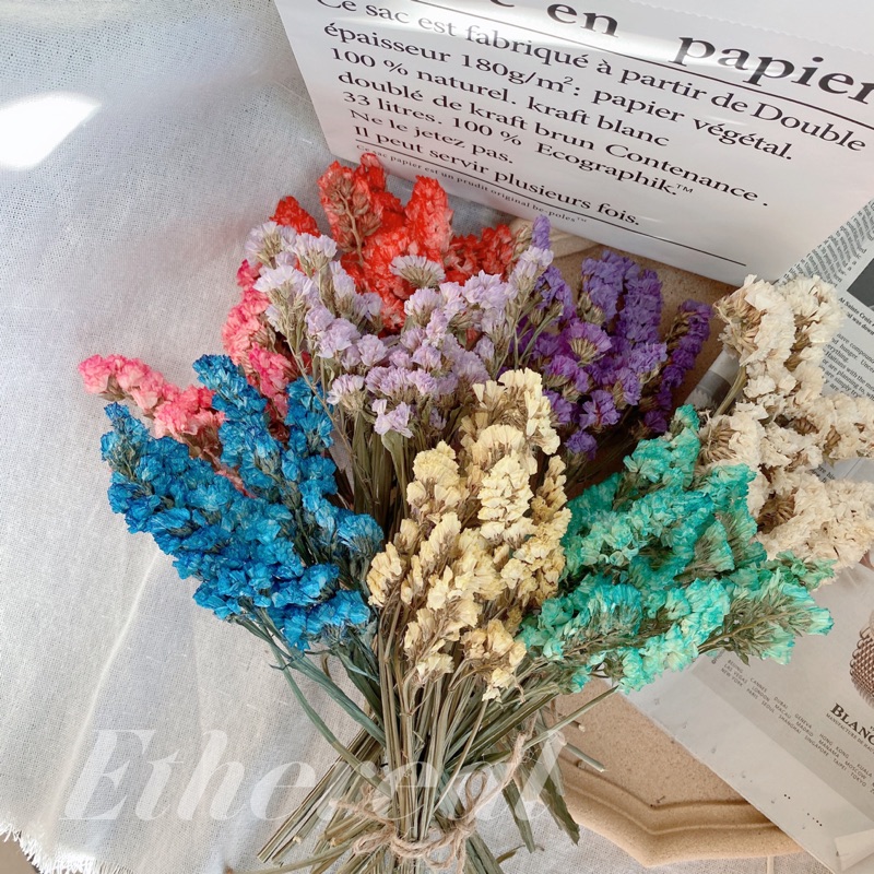 晞 勿忘我乾燥花乾燥花材 蝦皮購物