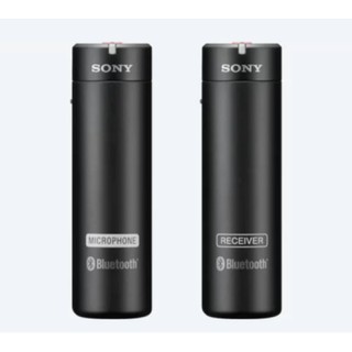 [完整盒裝] SONY ECM-AW4 無線 藍牙 相機 攝影機 麥克風~ 台灣索尼公司貨