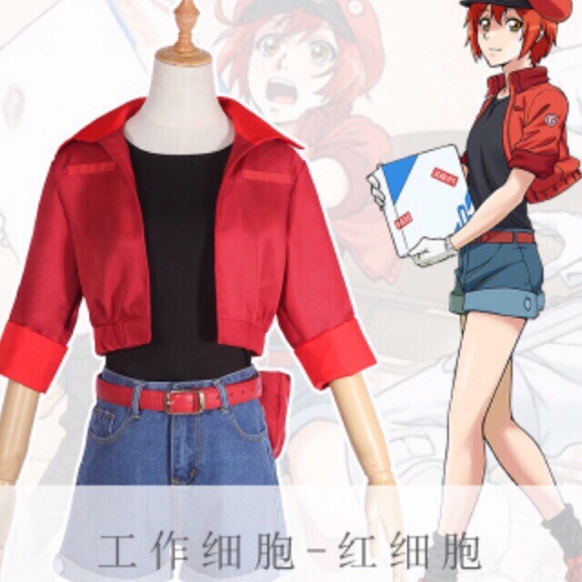 2018年7月新番 動漫服裝 cosplay 工作細胞 紅血球 赤血球