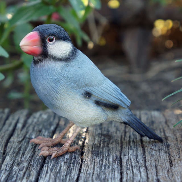 日本magnets療癒系列櫻文鳥迴紋針吸鐵 桌上擺飾 文具收納 生日禮物推薦 現貨 蝦皮購物