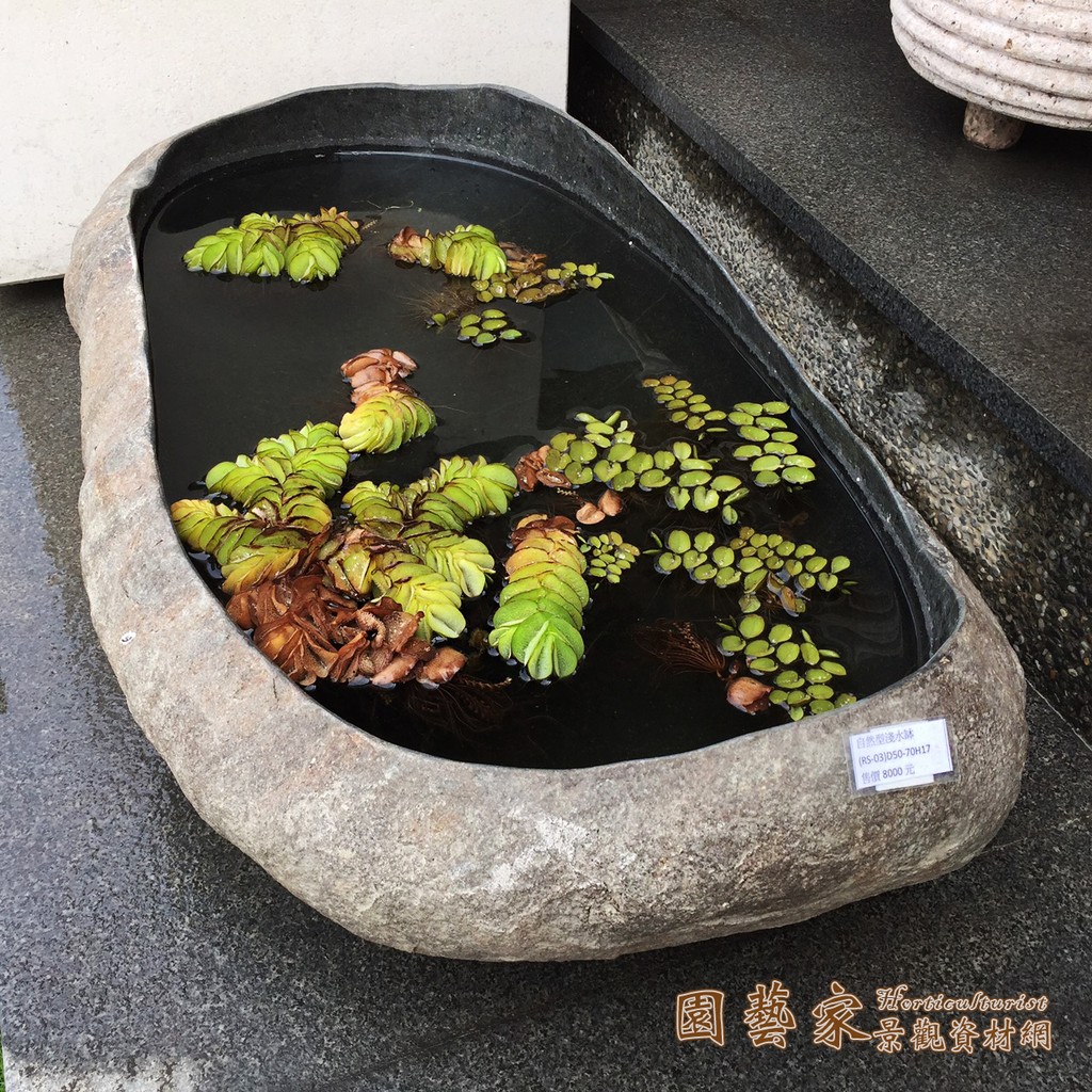 【園藝家景觀資材網】自然形淺水缽＊原石水缽＊天然石材打造庭園水生植物大型盆栽花器花盆水缽 民宿餐廳養魚景觀擺設