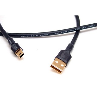 志達電子 CAB042 (T-Lab) USB A公-mini 5pin USB DAC 傳輸線 傳導線 d2hj