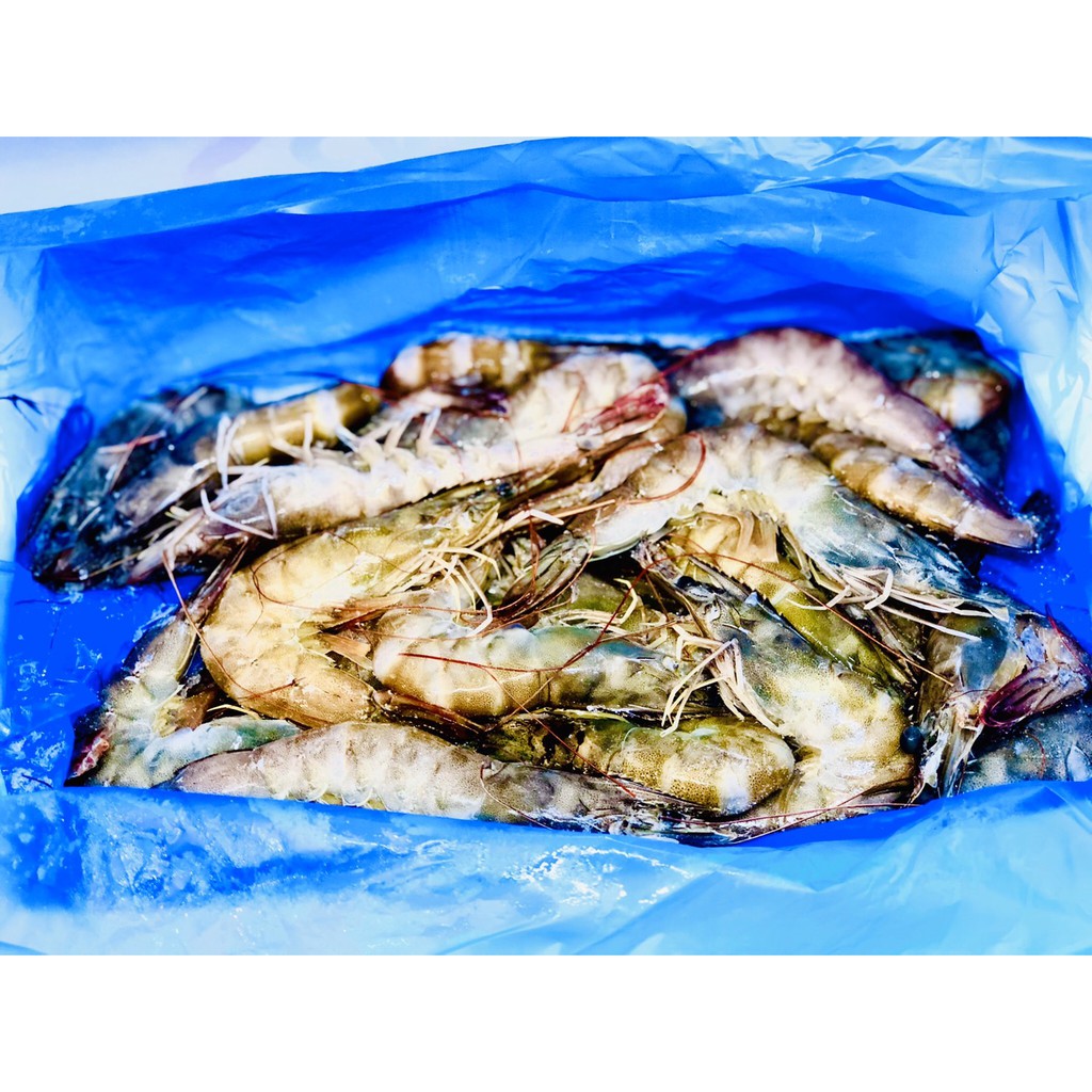 坐著做選品超市 冷凍白蝦海老白蝦 蝦皮購物