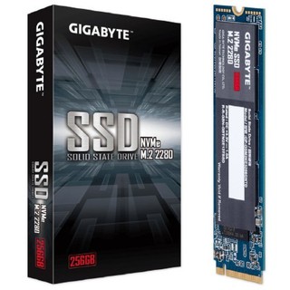 技嘉 GIGABYTE NVMe SSD 256GB 固態硬碟