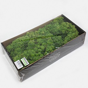 不凋花 Moss 500g 永生花水草苔蘚插花用品花藝設計可搭人造花乾燥花 蝦皮購物