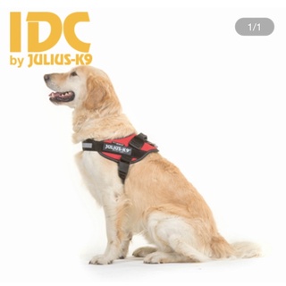 現貨JULIUS K9專業犬用馬鞍式胸背帶 尺寸baby2~2