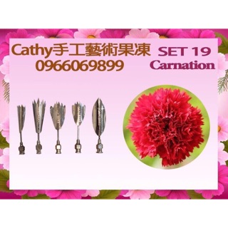 3D果凍花工具 康乃馨工具組 母親節專用工具，適合專業與初學者