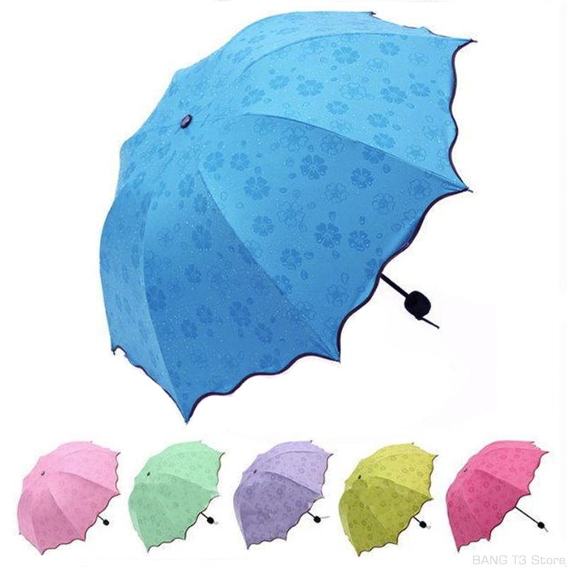 BANG 遇水開花傘 變色傘 晴雨兩用 荷葉邊設計 遮陽 加厚黑膠傘 抗UV 雨傘 【H51】