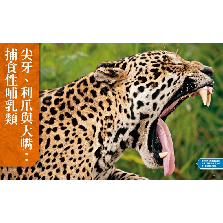 國家地理終極捕食動物百科 有史以來最完整的世界捕食動物大全 蝦皮購物