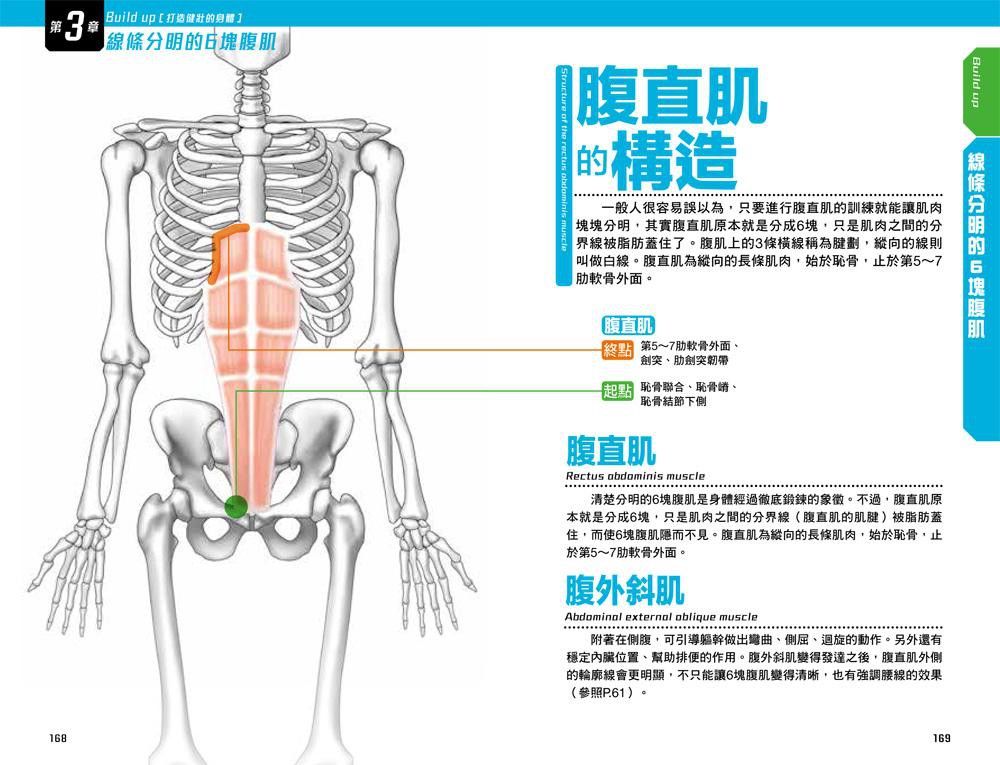打造層次分明的肌肉訓練全書 全身肌肉圖解 精準部位鍛鍊 岡田隆eslite誠品 蝦皮購物