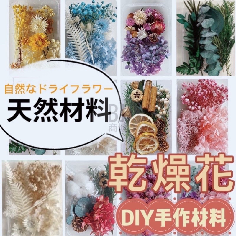 ［BJ商城］🇹🇼DIY 天然乾燥花 植物果實 繽紛 拍照道具 花材 花藝材料包 浮游花 永生花 浮油花 乾花