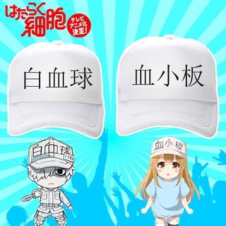 血小板帽子的價格推薦 21年10月 比價撿便宜