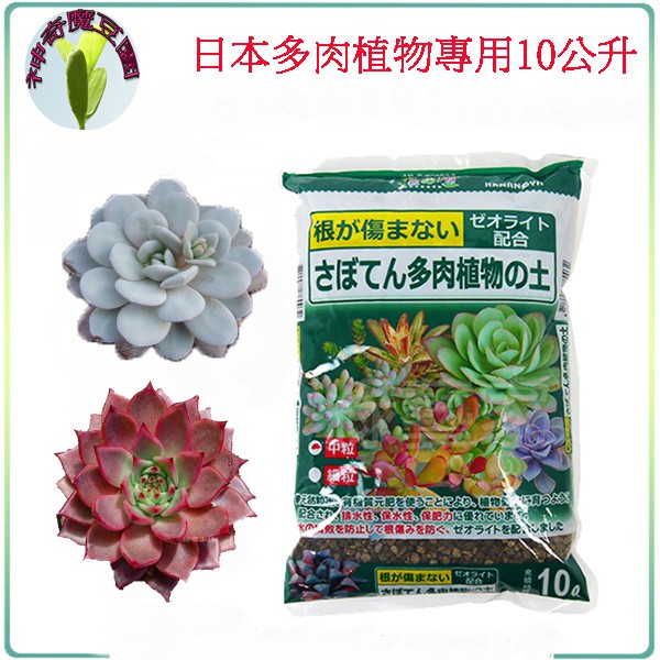 多肉植物專用培養土10公升育苗 分株 扦插繁殖換盆仙人掌主要成分赤玉土發酵堆肥輕石砂泥炭土火山岩蛭石活性炭 魔豆園 蝦皮購物