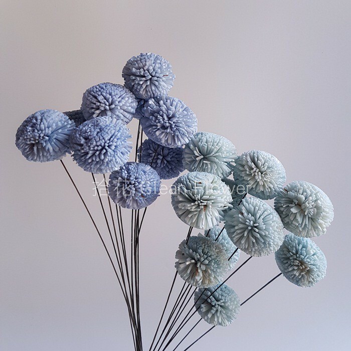 拾花 乾燥花素材乒乓菊索拉花 小 藍色系 蝦皮購物