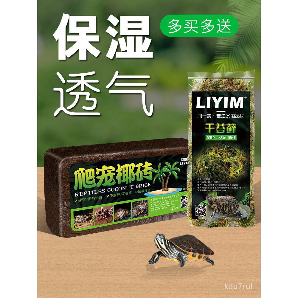 新品現貨爬寵墊材保濕水苔苔蘚烏龜冬眠爬蟲蜥蜴蜘蛛角蛙造景青苔過冬用品 蝦皮購物