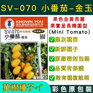 【萬樹種子】SV-070 小番茄-金玉 特選蔬果種子 農友種苗 彩色密封 原廠包裝