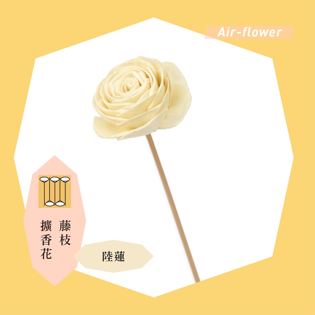 *aif-flower*藤枝擴香花 - 陸蓮(2019)(通草花 索拉花 Sola)