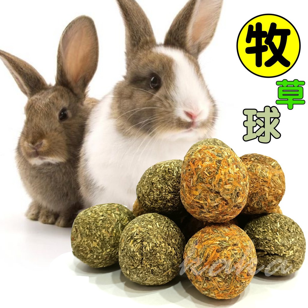 兔子苜蓿草 優惠推薦 21年5月 蝦皮購物台灣