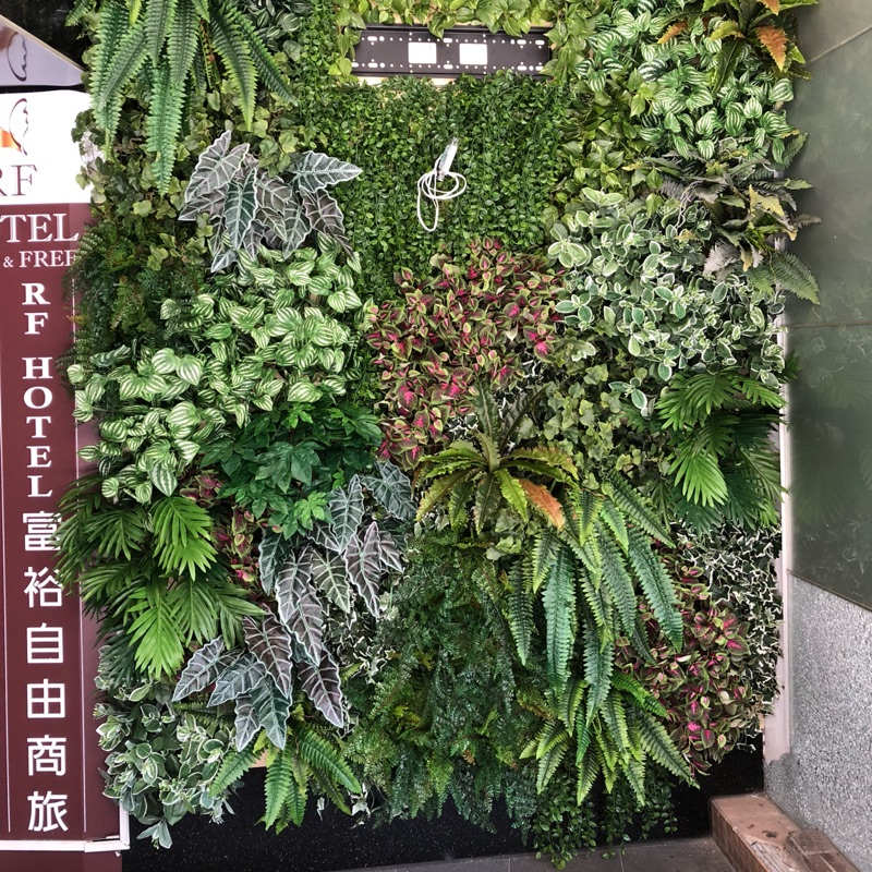 植物牆植生牆人造植生牆假草牆綠牆牆面植物專業施工咖啡廳商業空間歡迎詢問佈置美化 蝦皮購物