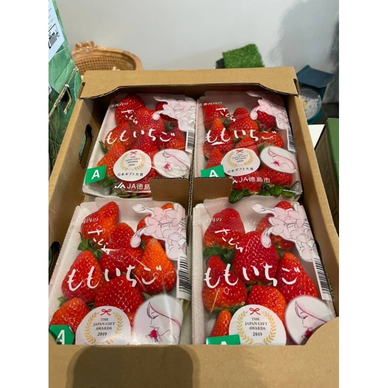 各式日本草莓蜜糖草莓菊池糖蜜草莓長崎糖蜜草莓古都華草莓淡雪草莓熊本熊草莓福岡草莓唐津草莓圓盒淡雪大妃美 蝦皮購物