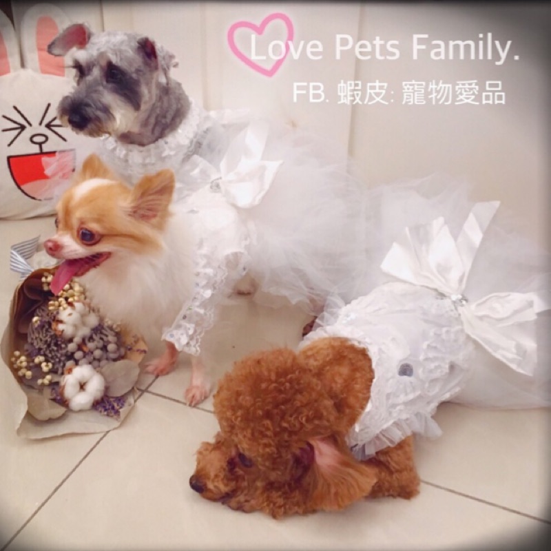 婚禮造型【寵物愛品 Love Pets Family】狗狗貓貓蕾絲新娘婚紗 拍照必備 寵物禮服  寵物衣服 雪納瑞貴賓