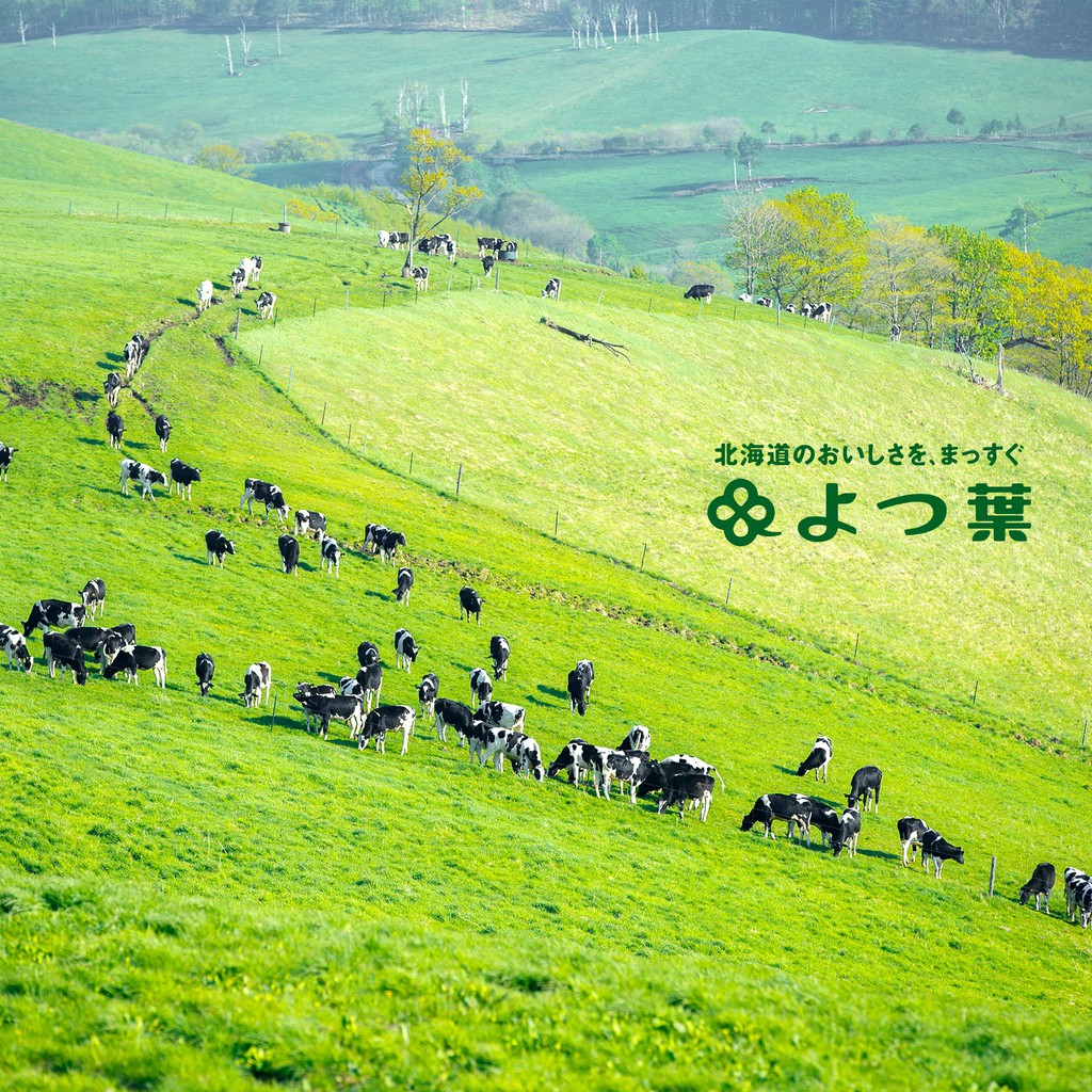 德麥食品 日本四葉北海道十勝奶霜 1l 蝦皮購物