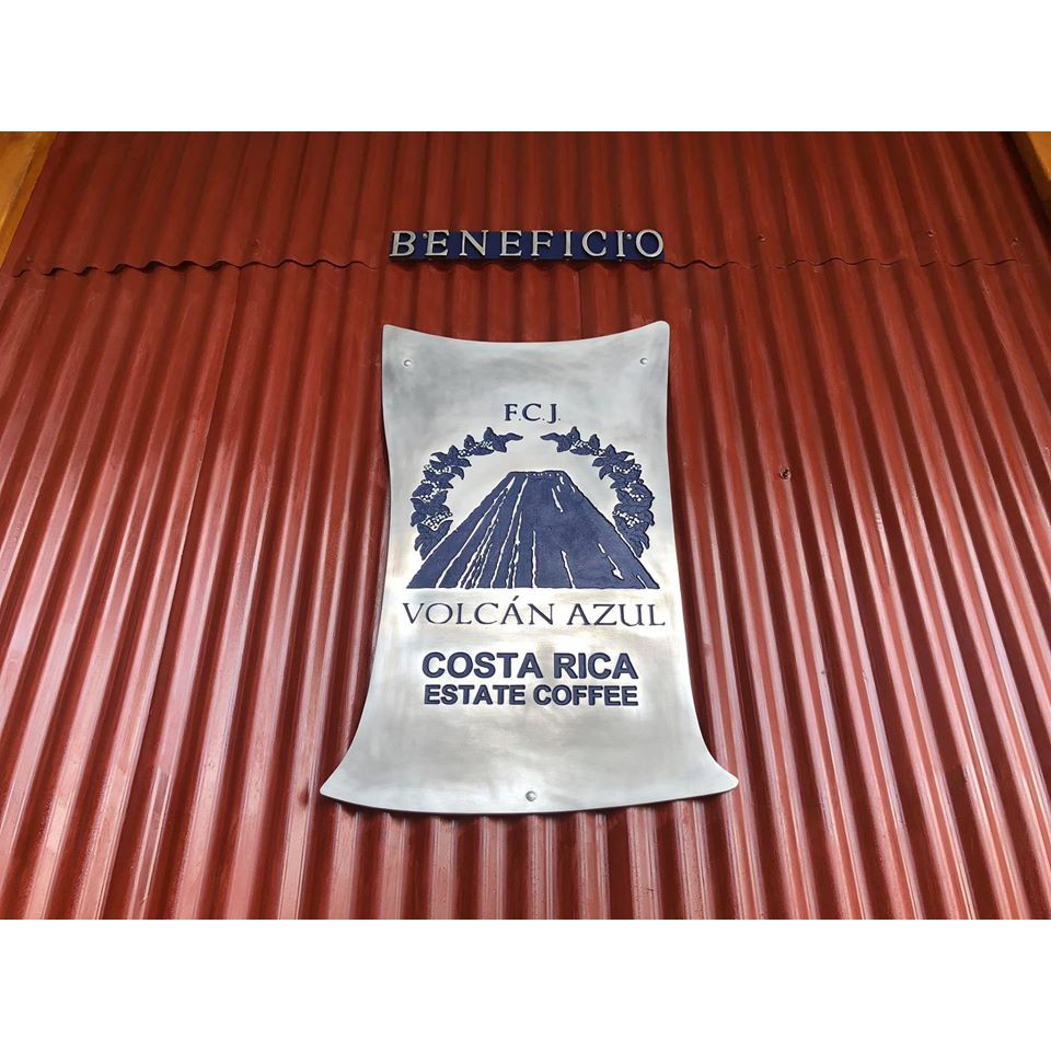 (2023最後數量) 獵豆工坊🐆 中美洲 哥斯大黎加 藍火山 卡杜拉 慢速日曬 咖啡生豆 500G