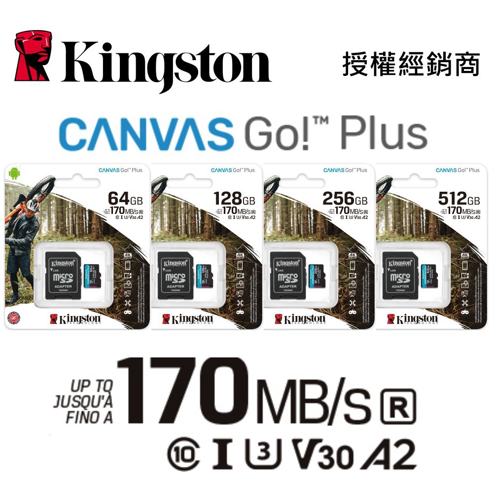 金士頓 小卡 64G 128G 256G 512G MicroSD TF C10 U3 A2 V30 SDCG3