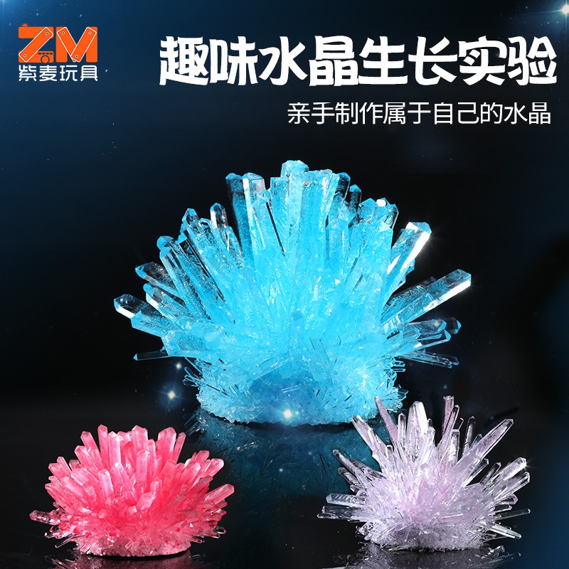 Diy化學結晶實驗自種水晶生長化學種植結晶 蝦皮購物