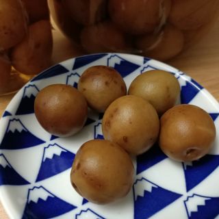 梅酒梅子-現貨數量有限 米酒頭釀的梅子