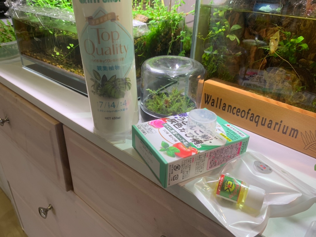 市場 住友化学 バリダシン粉剤DL 3kg ガーデニング園芸用品 市場 住友化学 バリダシン粉剤DL 3kg ガーデニング園芸用品
