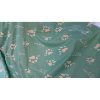 Jack Wolfskin 飛狼/寬庭 寵物毯 湖水綠/藍 蓋毯 毛毯 薄毯 四季毯 冷氣毯 120*180CM~台灣製