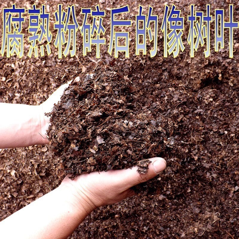 松針腐葉土腐熟酸性營養君子蘭土葉腐透氣綠蘿松針腐植土腐殖花卉 蝦皮購物