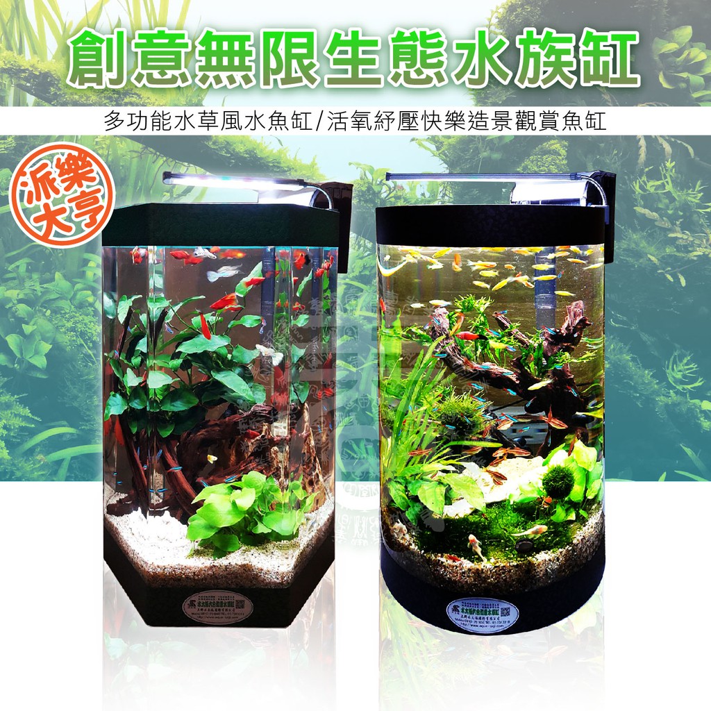 派樂大亨創意無限生態水族箱缸 送led燈 過濾器 水草造景水槽生態魚缸風水招財如意水族箱辦公室內客廳開運佈局 蝦皮購物