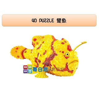 哥白尼的實驗室/生物/4D躄魚模型(鮟鱇目)/禮盒裝/正版Fame Master/海洋生物系列