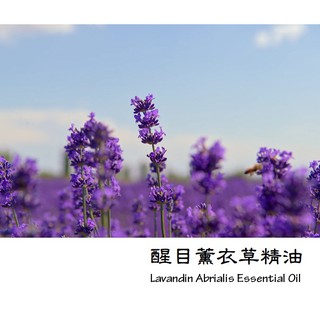 【muco】 醒目薰衣草精油 (Lavandin Abrialis Essential Oil)