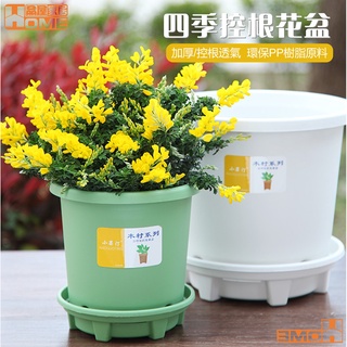 [品屋現貨] 花盆 塑膠花盆 大花盆 四季花盆 控根盆 加侖盆 透氣盆 控根盆 加侖盆 青山盆 陽臺花盆 無花果花盆