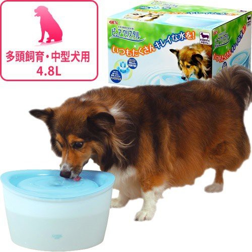 日本gex 中大型犬用淨水飲水器4 8公升 Ptt討論與高評價商品 21年8月 飛比價格